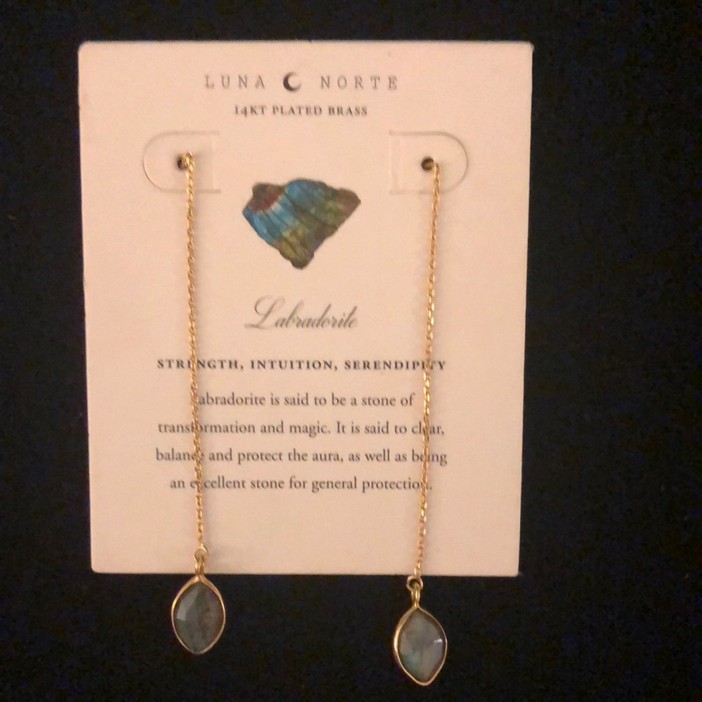 Labradorite 14K Plated Brass Earrings